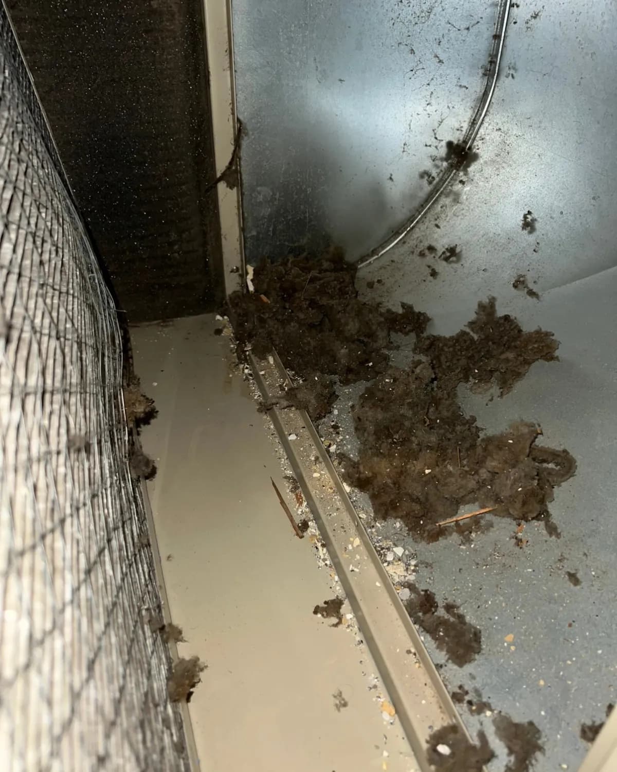 Duct interior before Clean Fresh Air professional cleaning — pair 2